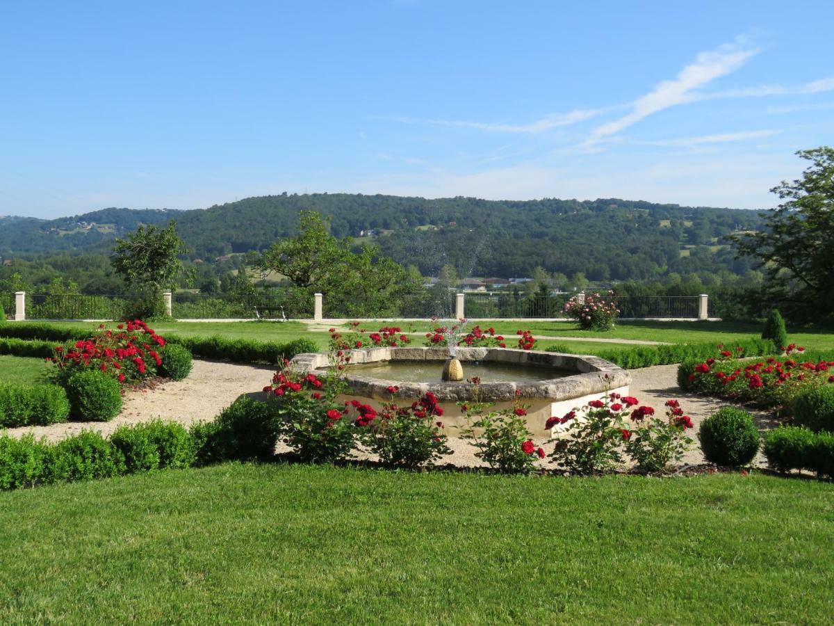 Chateau De Gaubert Bed and Breakfast Terrasson Eksteriør billede