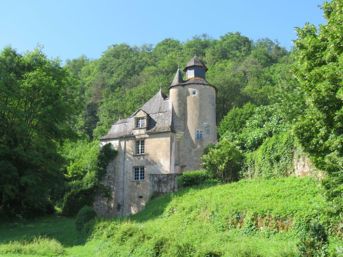 Chateau De Gaubert Bed and Breakfast Terrasson Eksteriør billede