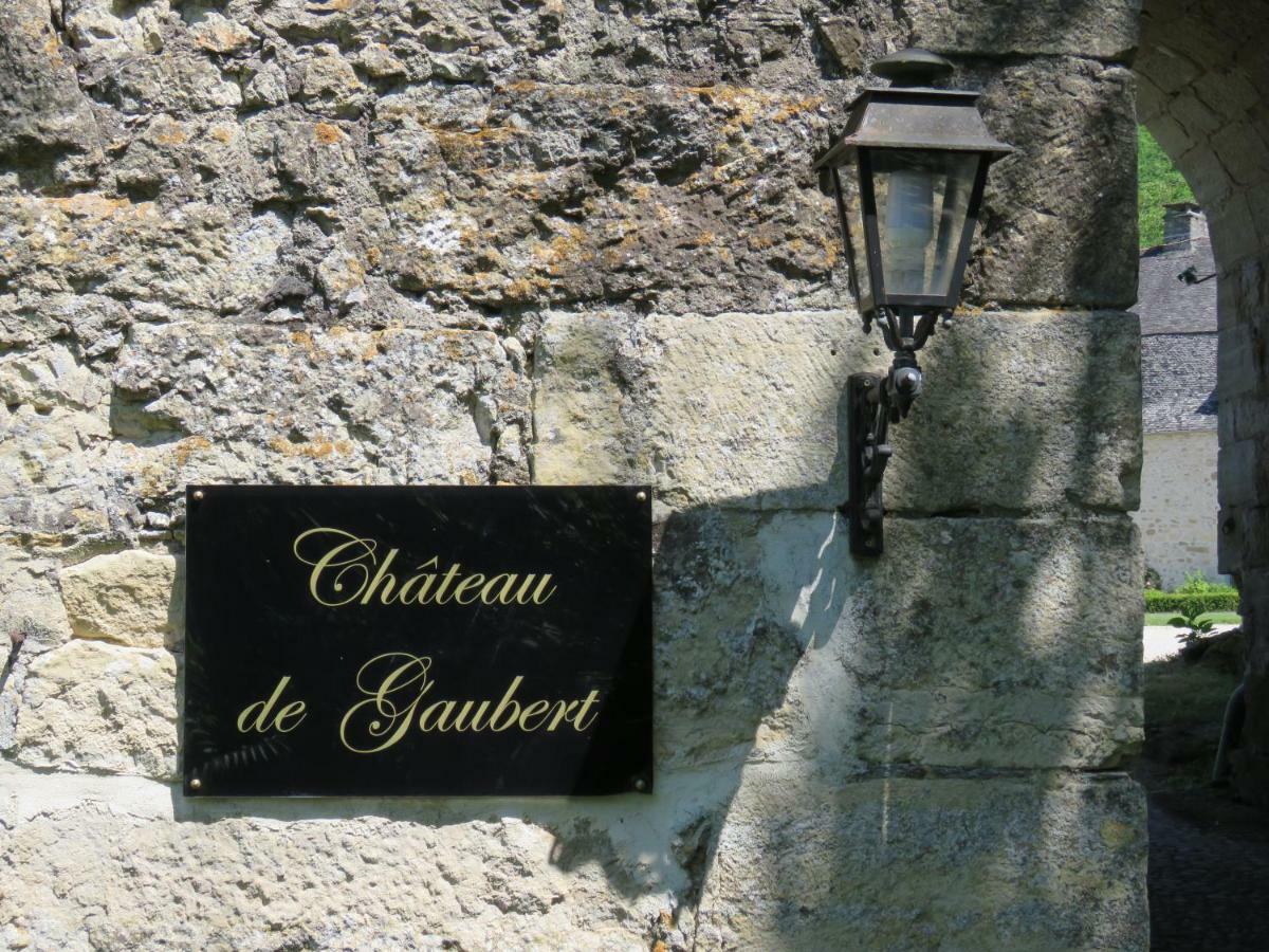Chateau De Gaubert Bed and Breakfast Terrasson Eksteriør billede